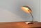 Mid-Century German 6840 Table Lamp from Kaiser Idell / Kaiser Leuchten, Image 17