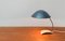 Mid-Century German 6840 Table Lamp from Kaiser Idell / Kaiser Leuchten 2