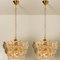 Glass and Brass Floral Three Tier Light Fixture from Hillebrand, 1970s, Set of 2 2