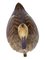 Scandinavian Early 20th Century Decoy Duck, Image 5