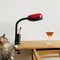 Industrial Russian Red and Black Lacquered Metal Clamp Desk Gooseneck Lamp, 1980s 3