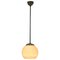 Mid-Century Industrial Pendant Lamp, 1960s, Image 1