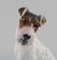 Wire Haired Fox Terrier aus Porzellan von Rosenthal Group 4