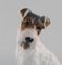 Wire Haired Fox Terrier in Porcelain from Rosenthal Group 4