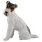 Wire Haired Fox Terrier in Porcelain from Rosenthal Group, Image 1
