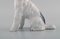 Fox Terrier à Poil Métallique en Porcelaine de Rosenthal Group 5