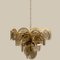 Large Smoked Glass and Brass Chandeliers in the Style of Vistosi, Italy, Set of 2 17