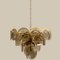 Large Smoked Glass and Brass Chandeliers in the Style of Vistosi, Italy, Set of 2, Image 17