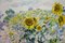 Georgij Moroz, Impressionistisches Sonnenblumenfeld, 2000, Öl auf Leinwand 2
