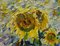 Georgij Moroz, Impressionistisches Sonnenblumenfeld, 2000, Öl auf Leinwand 4
