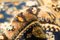 Geometrischer Kordi Teppich in Terrakotta mit Medaillon 3