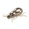 Escultura Beetle de Mambo Unlimited Ideas, Imagen 1