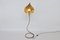 Italian Brass Leaf-Shaped Foglia Floor Lamp by Tommaso Barbi, 1970s 2