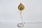 Italian Brass Leaf-Shaped Foglia Floor Lamp by Tommaso Barbi, 1970s 1