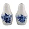 Blue Flower Braided Salt and Pepper Shaker from Royal Copenhagen, Set of 2 1