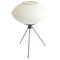 Tripod Table Lamp with Opaline Glass, Italy, 1950s, Image 1