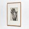 Black and White Right Hand Photogravure Plate by Ernest Koehli, Framed 2