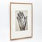 Black and White Right Hand Photogravure Plate by Ernest Koehli, Framed, Image 3