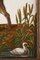Micromosaïque du début du XIXe siècle représentant un chien chassant un canard d'après Gioacchino Barberi 7