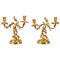 19th Century Ormolu Candelabras in Louis XV Style, Set of 2 1