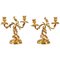 19th Century Ormolu Candelabras in Louis XV Style, Set of 2, Image 1