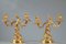 Chandeliers en Bronze doré de Style Louis XV, 19ème Siècle, Set de 2 7