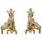 Ormolu Bronze Kaminplatten im Rocaille-Stil, 2er Set 1