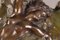 Jarrón modernista de bronce de finales del siglo XIX de Marcel Debut, Imagen 6