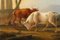 Dieboldt, Paisajes con vacas, óleo sobre tabla, Juego de 2, Enmarcado, Imagen 15