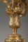 Rocaille Style Candelabras in Gilt Bronze 14