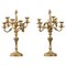 Rocaille Style Candelabras in Gilt Bronze 1