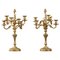 Rocaille Style Candelabras in Gilt Bronze, Image 1