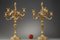 Rocaille Style Candelabras in Gilt Bronze 2