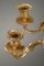 Rocaille Style Candelabras in Gilt Bronze 13