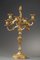 Rocaille Style Candelabras in Gilt Bronze 3