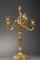 Rocaille Style Candelabras in Gilt Bronze 4