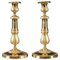 Ormolu Candlesticks with Palmettes and Flowers, Set of 2 1