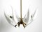 Large Brass Chandelier with White and Transparent Murano Glasses by Franco Luce, Italy, 1950s 4