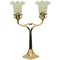 Solid Table Lamp with Opaline Glass Shade 1