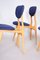 Blaue Mid-Century Stühle aus Eschenholz, 1950er, 4er Set 4