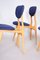 Mid-Century Blue Ash Chairs, Czechia, 1950s, Set of 4 4