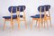 Mid-Century Blue Ash Chairs, Czechia, 1950s, Set of 4 5