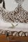 Keramikfliese mit Vogel von Albert Thiry für Vallauris, Frankreich, 1950er 6