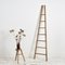 Large French Fruit Picking Ladder 2