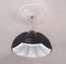 ORCA LAMP_Hanging Lamp by PUFF-BUFF, Image 1