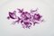 Plat de Service Ovale en Porcelaine Peinte à la Main avec Fleurs Violettes de Meissen 2