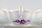 Sauce Boat in Hand Painted Porcelain with Purple Flowers from Meissen, Image 4