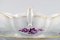 Sauciere aus handbemaltem Porzellan mit violetten Blüten von Meissen 4