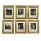 Paintings, Mid-19th-Century, Framed, Set of 6 1