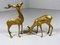 Brass Deers, 1970s, Set of 2, Image 2